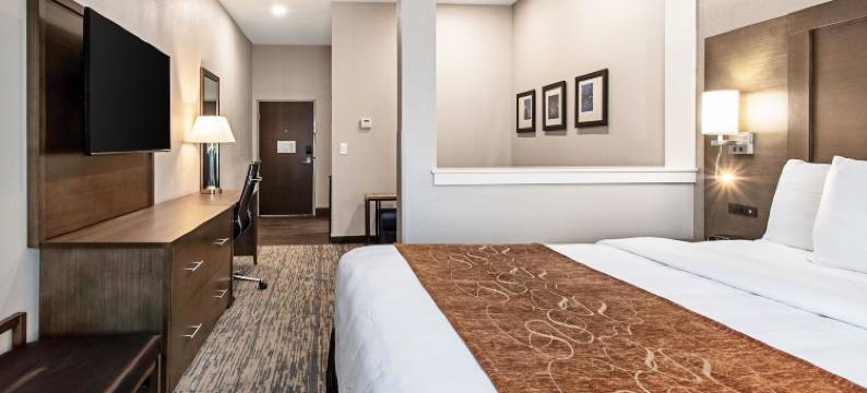 格罗夫城 - 南哥伦布舒适套房酒店(Comfort Suites Grove City - Columbus South)图片