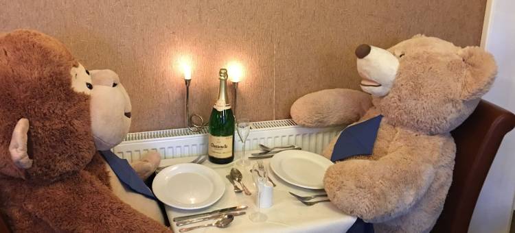 老马车房酒店(The Old Coach House)图片