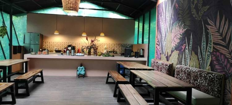 森林中的La Shamana生态概念酒店(La Shamana - Ecological Concept in Jungle)图片
