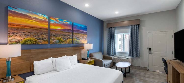 市中心休斯顿大学温德姆戴斯套房酒店(Days Inn & Suites by Wyndham Downtown/University of Houston)图片