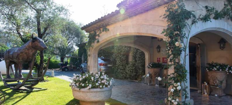 阿兰洛卡餐厅酒店(Hôtel & Restaurant Alain Llorca)图片