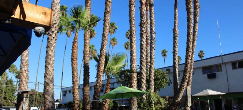 洛杉矶冒险家全套房酒店(La Adventurer Hotel)图片