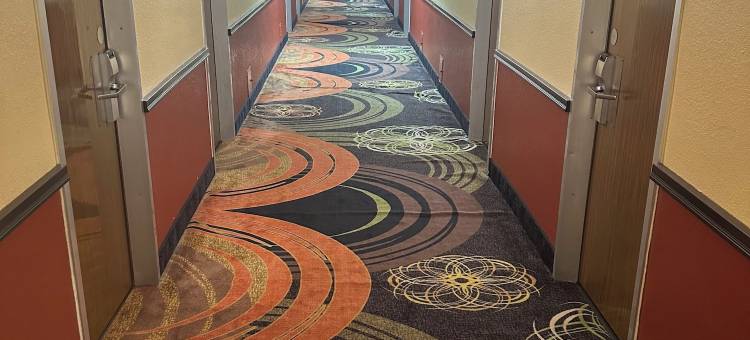 罗德威酒店(Executive Inn)图片