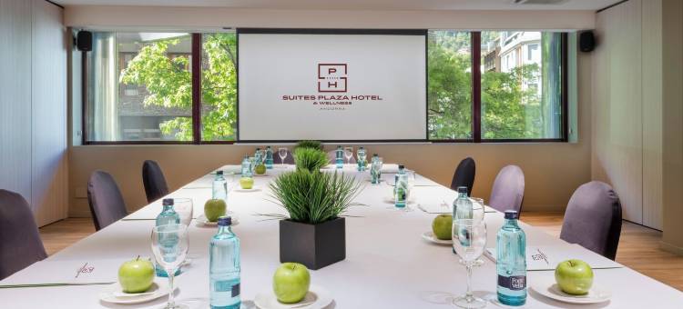 Suites Plaza Hotel & Wellness Andorra图片