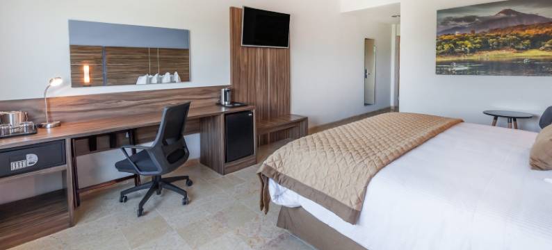 科利花园酒店(Gamma Colima Garden)图片