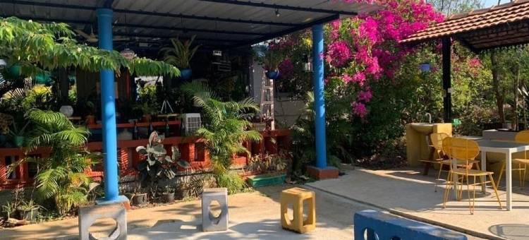 荒野丛林营地(Wilderness Jungle Camp)图片