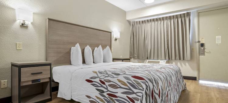 西门罗红屋顶酒店(Red Roof Inn West Monroe)图片