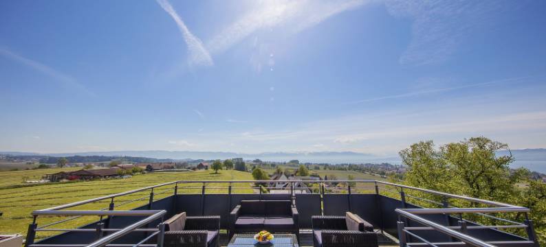 舒奈霍夫邦登瑟酒店(Bodensee-Hotel Sonnenhof)图片