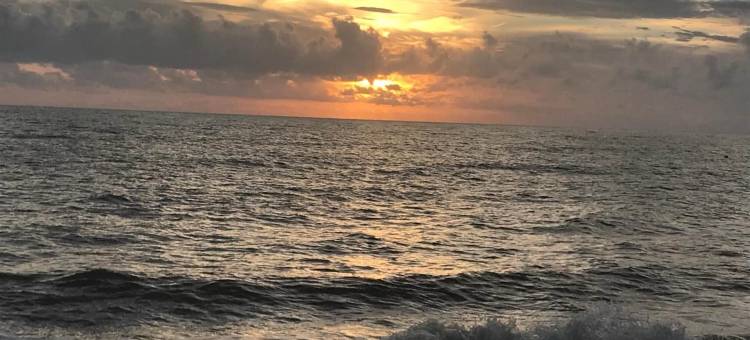 杏仁酒店(Hotel Amendoeiras)图片