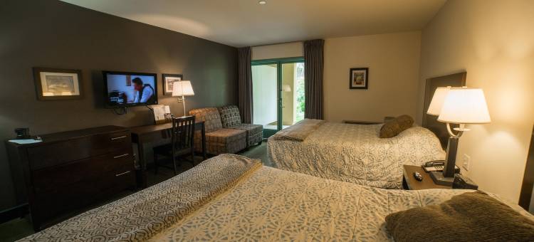 柠檬树旅馆(Lemon Tree Inn)图片