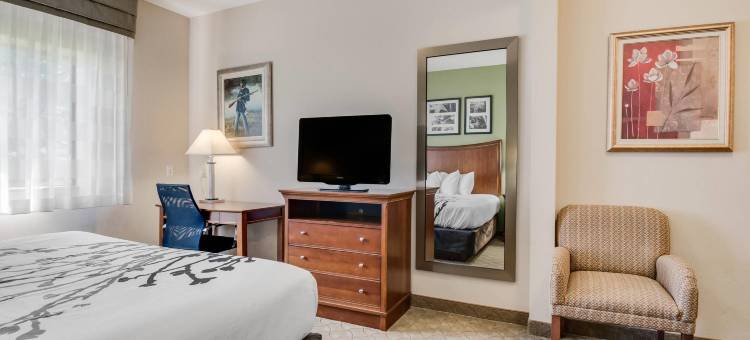 舒眠套房酒店(Sleep Inn & Suites)图片