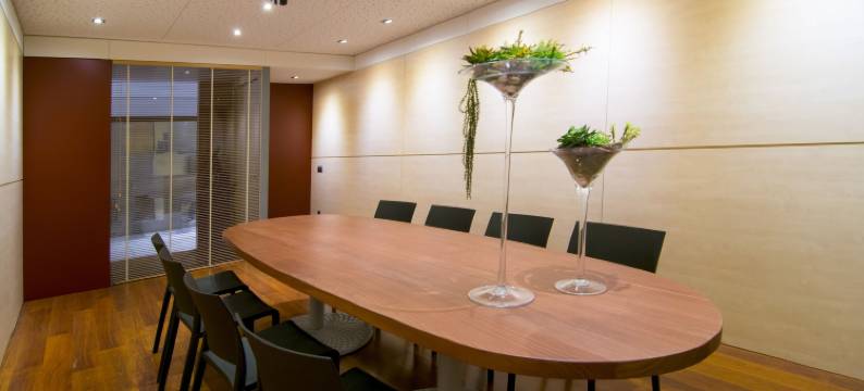 亚美利卡酒店(Hotel America Igualada)图片