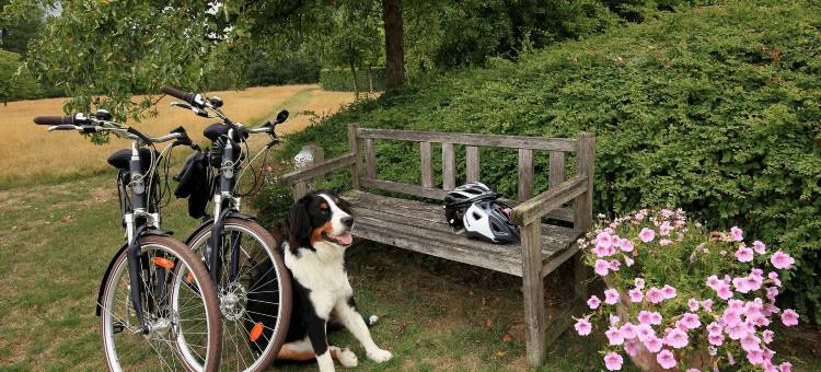 小布鲁耶龙塞酒店(La Petite Bruyere de Renaix)图片