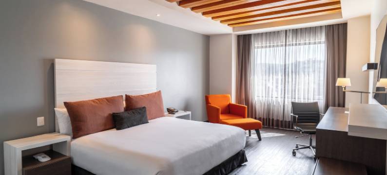 提华纳里尔酒店(Real Inn Tijuana by Camino Real Hoteles)图片