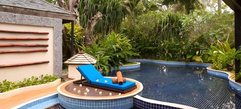 瓦努阿图华威乐潟湖酒店(Warwick le Lagon Resort & Spa, Vanuatu)图片