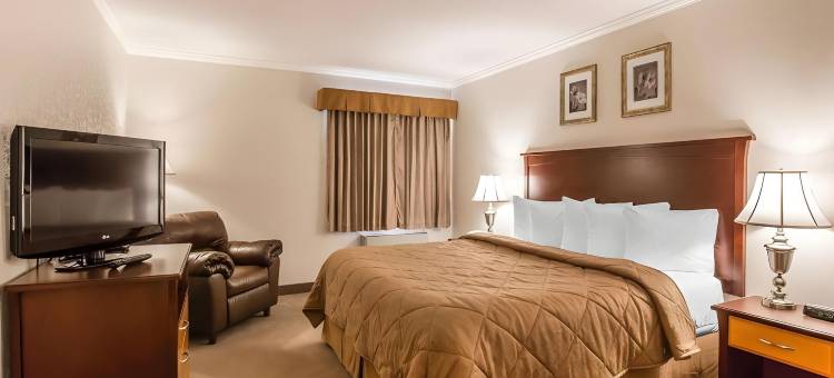 凯艺会议中心酒店(Quality Inn & Conference Centre)图片