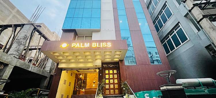 棕榈极乐国际酒店(Palm Bliss International Hotel)图片
