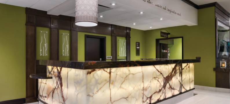 休斯顿西北希尔顿花园酒店(Hilton Garden Inn Houston NW/Willowbrook)图片