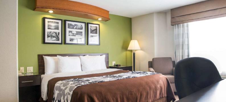 耶米特斯堡舒眠套房酒店(Sleep Inn & Suites)图片