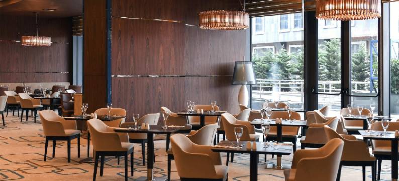 伊斯坦布尔西会议中心美居酒店(Mercure Istanbul West Hotel & Convention Center)图片