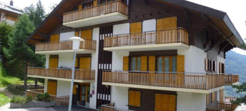 Apartment with balcony views of  Nendaz图片