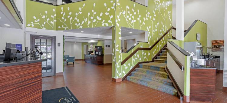 布希花园附近舒眠酒店-USF(Sleep Inn Near Busch Gardens - USF)图片