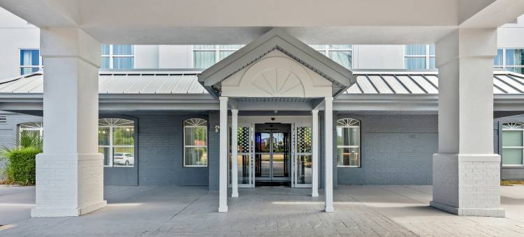 Spark by Hilton Sumter图片