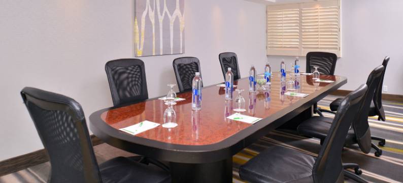 Holiday Inn 达拉斯理查森(Holiday Inn DALLAS-RICHARDSON by IHG)图片