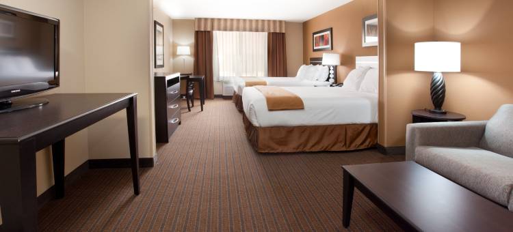 智选假日套房酒店拉马尔(Holiday Inn Express & Suites Lamar)图片