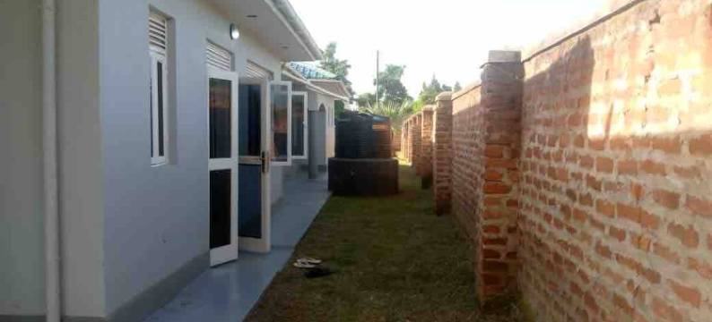 Kareber Deluxe - Gulu图片