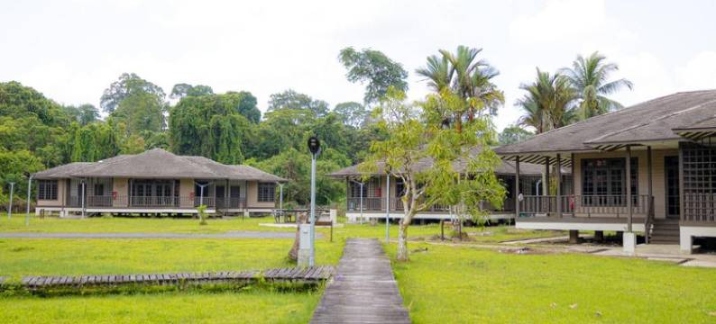 Sutera Horizon at Niah National Park图片