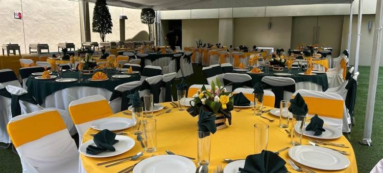 墨西哥机场智选假日酒店(Holiday Inn Express MEXICO AEROPUERTO by IHG)图片
