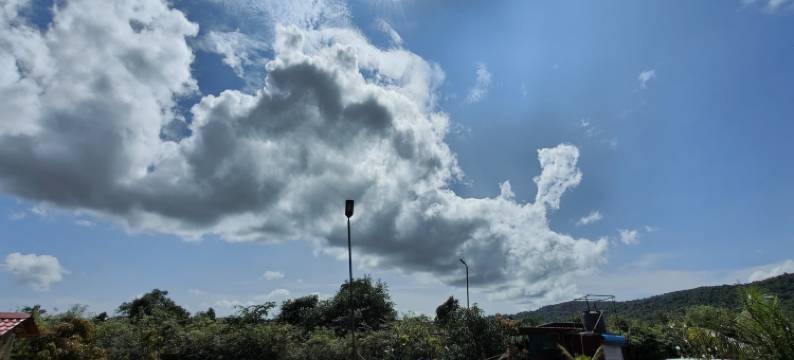 施拉瓦尼农场(Shravani Farms)图片