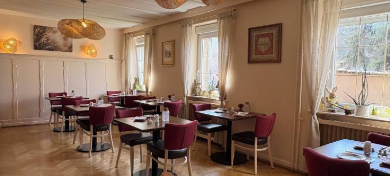 迪巴赫酒店(Hôtel Deybach)图片