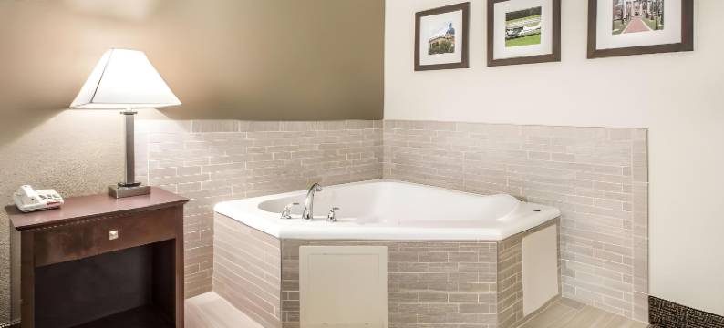 舒适套房酒店-近迪兰大学(Comfort Inn & Suites DeLand - Near University)图片