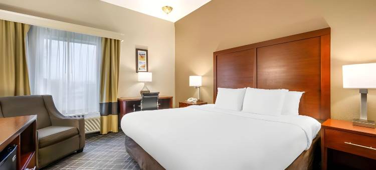 机场特佛维路舒适酒店(Comfort Inn Airport Turfway Road)图片