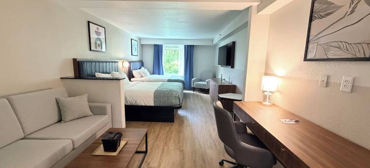 雅典市中心蔚景温德姆酒店(Wingate by Wyndham Athens Near Downtown)图片