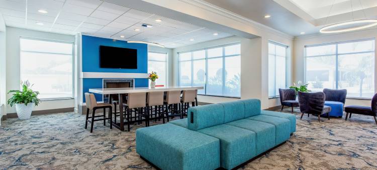 坦帕西北奥尔兹马希尔顿花园酒店(Hilton Garden Inn Tampa Northwest/Oldsmar)图片