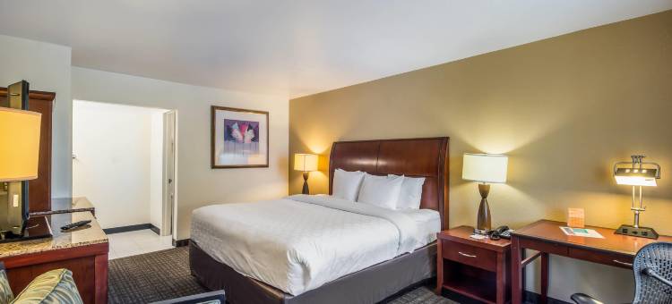 克拉丽奥酒店及套房-中央清水海滩(Clarion Inn & Suites Central Clearwater Beach)图片