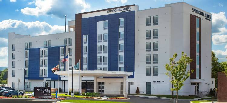 菲德里克万豪SpringHill Suites酒店(SpringHill Suites Frederick)图片