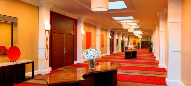 阿尔伯克基上城区喜来登酒店(Sheraton Albuquerque Uptown)图片