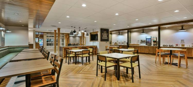 卡拉马祖万豪万枫套房酒店(Fairfield Inn & Suites Kalamazoo)图片