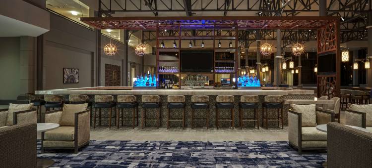 休斯顿北部希尔顿酒店(Hilton Houston North)图片