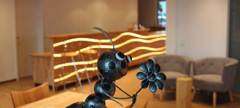 伊姆萨尼格赛尔膳食公寓酒店(Hotel Sunnegässle)图片