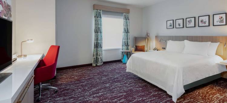 朗蒙特希尔顿花园酒店(Hilton Garden Inn Longmont)图片