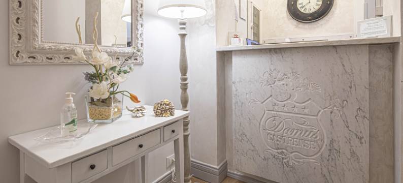 多穆斯卡斯淳瑟酒店(Domus Castrense)图片