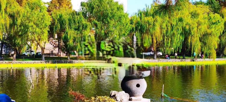 杭州浙大华家池凤起东路亚朵酒店图片
