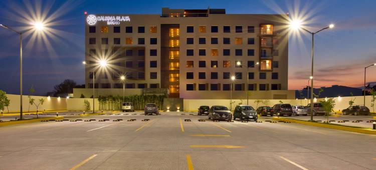 伊拉普阿托广场画廊(Galeria Plaza Irapuato)图片