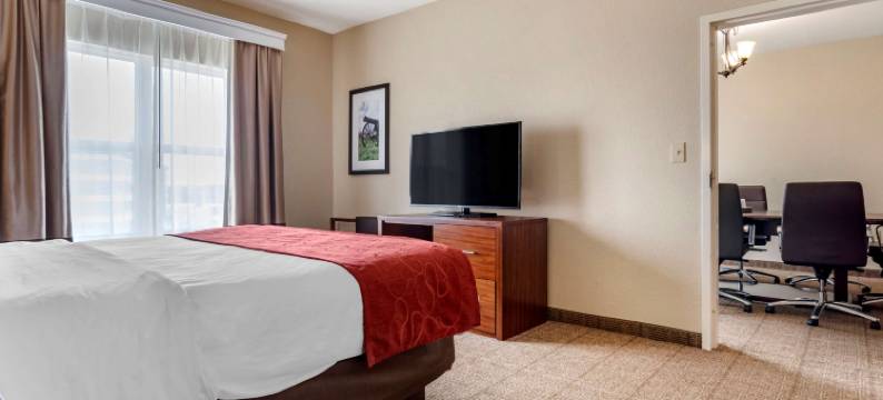 维克斯堡舒适全套房酒店(Comfort Suites)图片