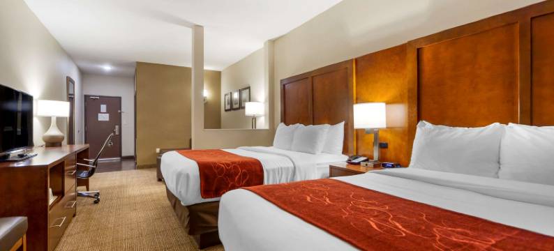 舒适套房酒店-拉威斯达奥马哈(Comfort Suites)图片